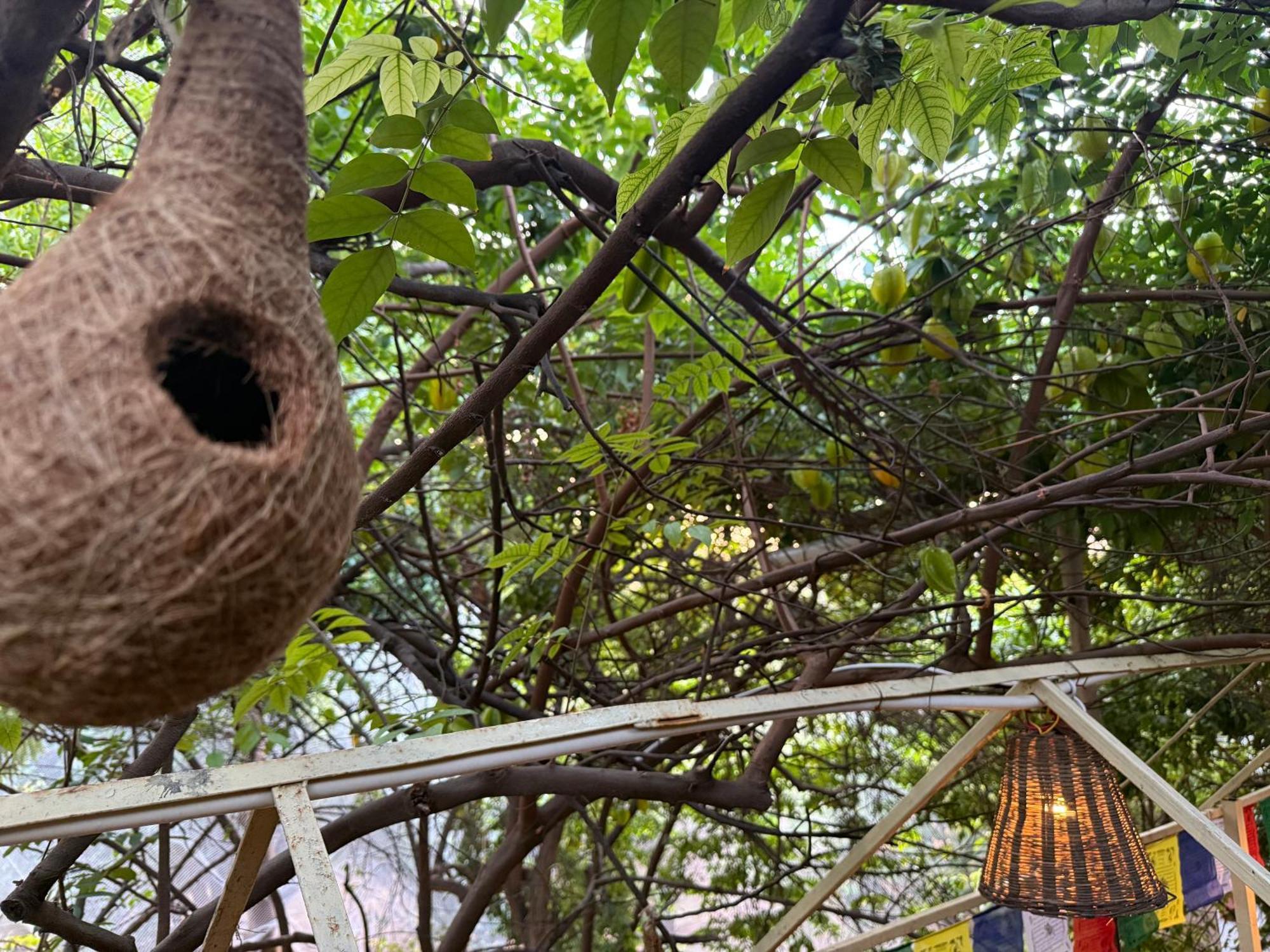 Hotel Green Heaven Resort Pushkar Exterior photo
